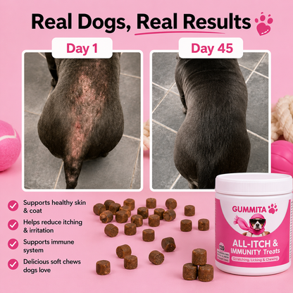 Gummita All-Itch & Immunity Chews